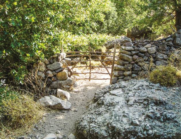 malionta1