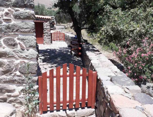 Ματσιλίνις
